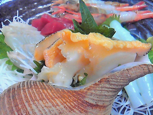 【個室食】定置網元ならでは☆日本海の海鮮プラン